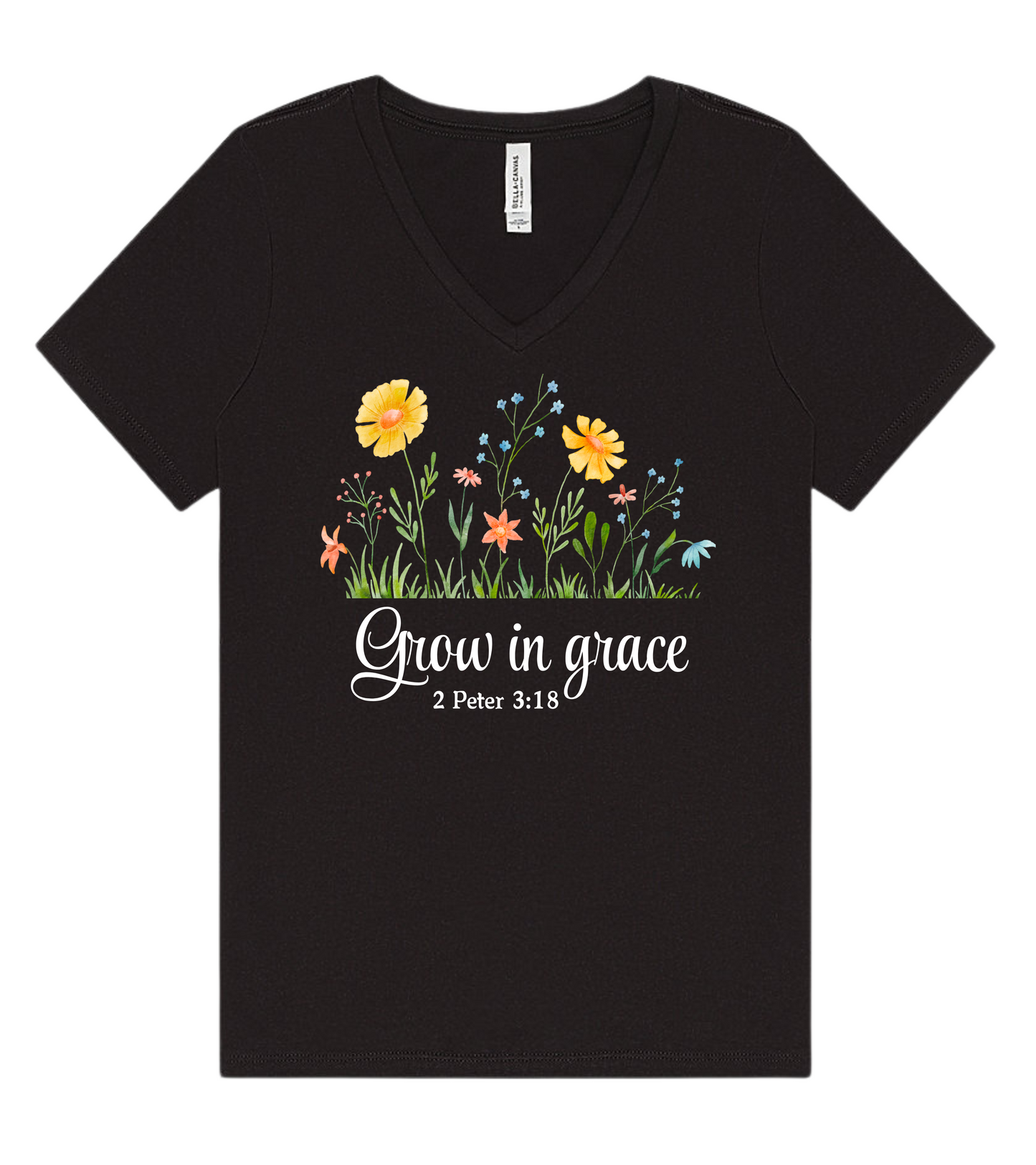 Grow in grace 2 Peter 3:18